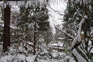 【つらら】四季回廊からの雪景色とつらら（2月上旬撮影）