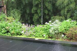 【紫陽花と竹林】玄関入口エントランス（6月中旬）