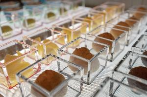 【朝食】デザート類　宮城名物のずんだ餅もご用意しております。