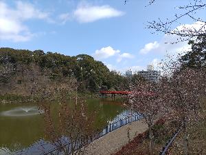 茶臼山