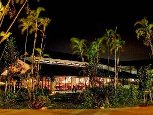 【レストラン】夜はライトアップされたヤシの木々が沖縄旅を盛り上げます