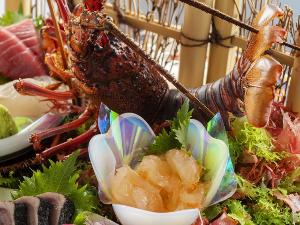 【伊勢海老姿造り】ぷりぷりの食感と上品な甘みが味わえる伊勢海老をお刺身で堪能。