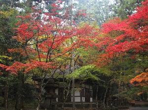 写真提供：広島県　佛通寺：広島県内屈指の紅葉の名所