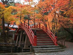 写真提供：広島県　今高野の紅葉：11月上旬から中旬までの期間、「紅葉」が楽しめます。