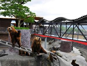 写真提供：熊本県観光連盟　阿蘇カドリー・ドミニオン