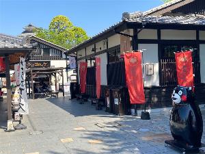 写真提供：熊本県観光連盟　桜の馬場城彩苑