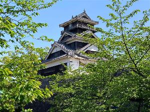 写真提供：熊本県観光連盟　熊本城