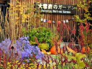 【大雪森のガーデン】色彩豊かな季節の花を楽しめます（10月上旬）