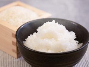 【新潟駅前・燕三条限定】白くてつやがあり、食べたときには粘り・かすかな甘み・香りがおいしいコシヒカリ