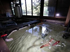 館内の大型生簀、獲れたての海の幸が揃っています