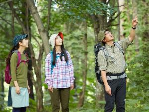 【自然ガイド】トレッキングプログラム：初級コースから本格的な山登りまで（２日前１６時までに予約要）