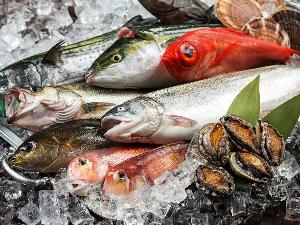 【海鮮】市場で仕入れた朝獲れの新鮮魚介：豊富な種類の海の幸を”山麓”で楽しめる贅沢。