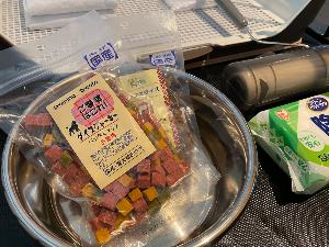 ドッグヴィラ