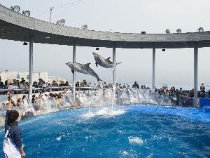 大分マリーンパレス水族館「うみたまご」