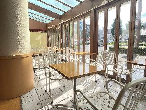 日当たりの良いテラス席