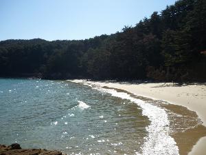【大島】陸中海岸国立公園にある自然豊かな離島です。