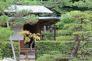 「曲水の庭・茶室」イメージ
