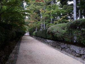 【高野山　蛇腹道】