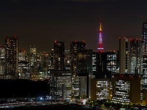 日本橋、新宿・赤坂方面の夜景（客室からの景色一例）