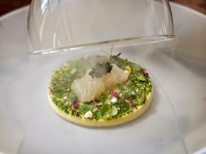 料理イメージ（Essence　2023年4月～6月）
