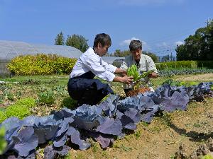 Our farm