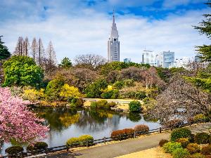 【新宿御苑】貴重な動植物が集まる旧皇室園地の新宿御苑は当ホテルから徒歩20分。