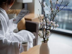 大きな窓で常に明るい客室