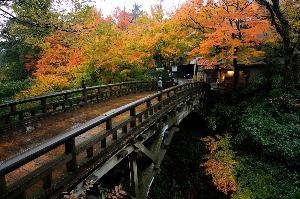 【山中温泉】こおろぎ橋～徒歩15分、総ヒノキ造りの橋。2020年10月リニューアル～