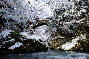 【山中温泉】こおろぎ橋～徒歩15分、総ヒノキ造りの橋。2020年10月リニューアル～
