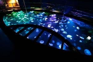 すみだ水族館イメージ