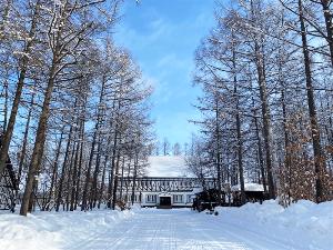 白樺並木の先に佇む雪の市庁舎。いつ見ても絵になります。