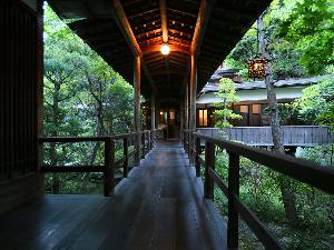 緑が美しい　花屋の渡り廊下