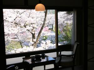 【桜景色が綺麗】本館和室（2〜3名） 登録有形文化財のお部屋