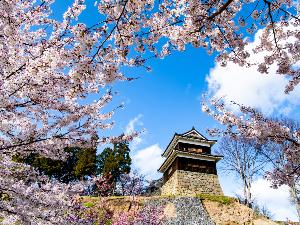 上田城跡公園の桜　（車で約20分）