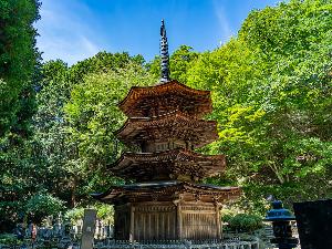 安楽寺　（当館より徒歩約10分）
