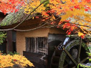 紅葉が美しい秋の水車小屋