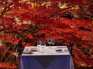 【函館銀座軒】紅葉の時期の庭園はライトアップされ、幻想的な雰囲気に変わります。
