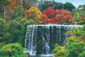 日本庭園（紅葉） イメージ