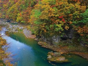 抱き返り渓谷の紅葉