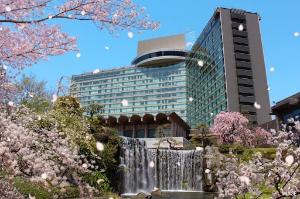 【桜（イメージ）】日本庭園では、19種類58本の桜が3月上旬から4月下旬にかけて順々に咲き誇ります。