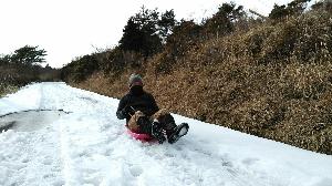 冬のソリ遊び