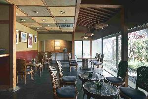 ロビーから眺めるお庭には猫の家族が戯れています。