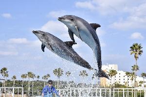 マリンワールド海の中道