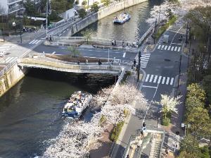 【プレミアムハートフルルーム】開放感とゆとりある客室。機能的で洗練された空間をお過ごしください。