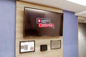 大型フラットテレビ（衛星放送あり）