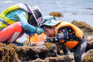 春は磯遊びの季節です！