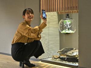 リビングロビー