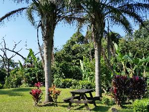 ピクニックテーブル