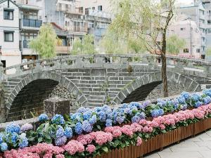 眼鏡橋/紫陽花