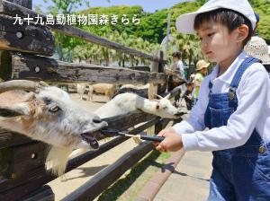 「九十九島動植物園森きらら」（ホテルから車で35分～45分）